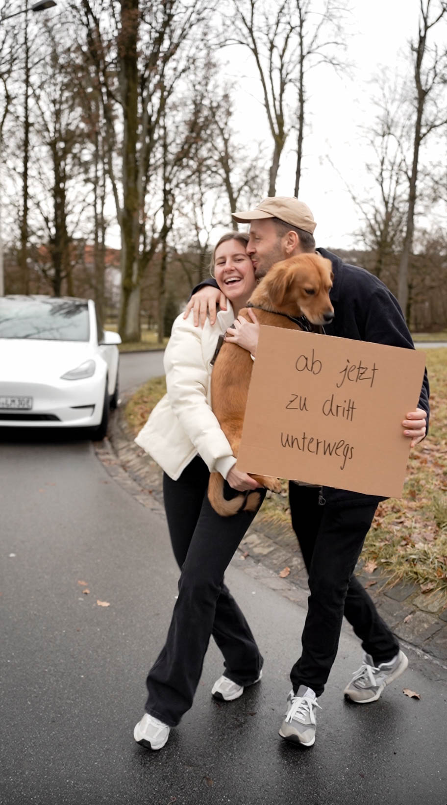 Reisen mit Hund